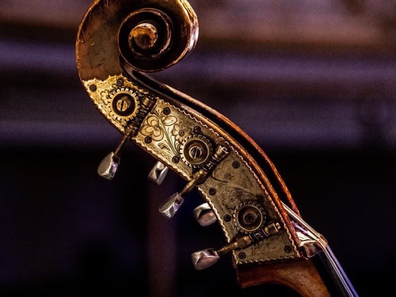 Chamber Concert in the Theatre Foyer