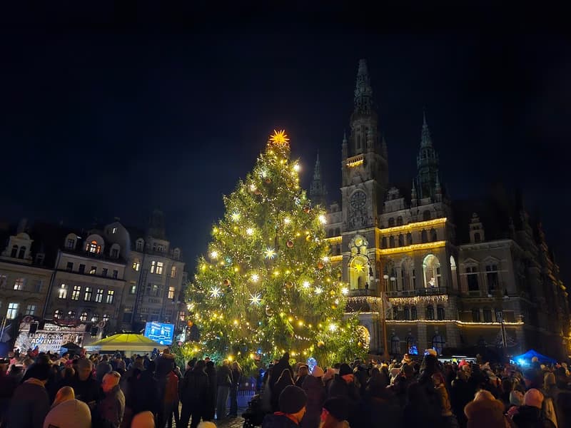 Ceremonial Christmas Tree Lighting 2026