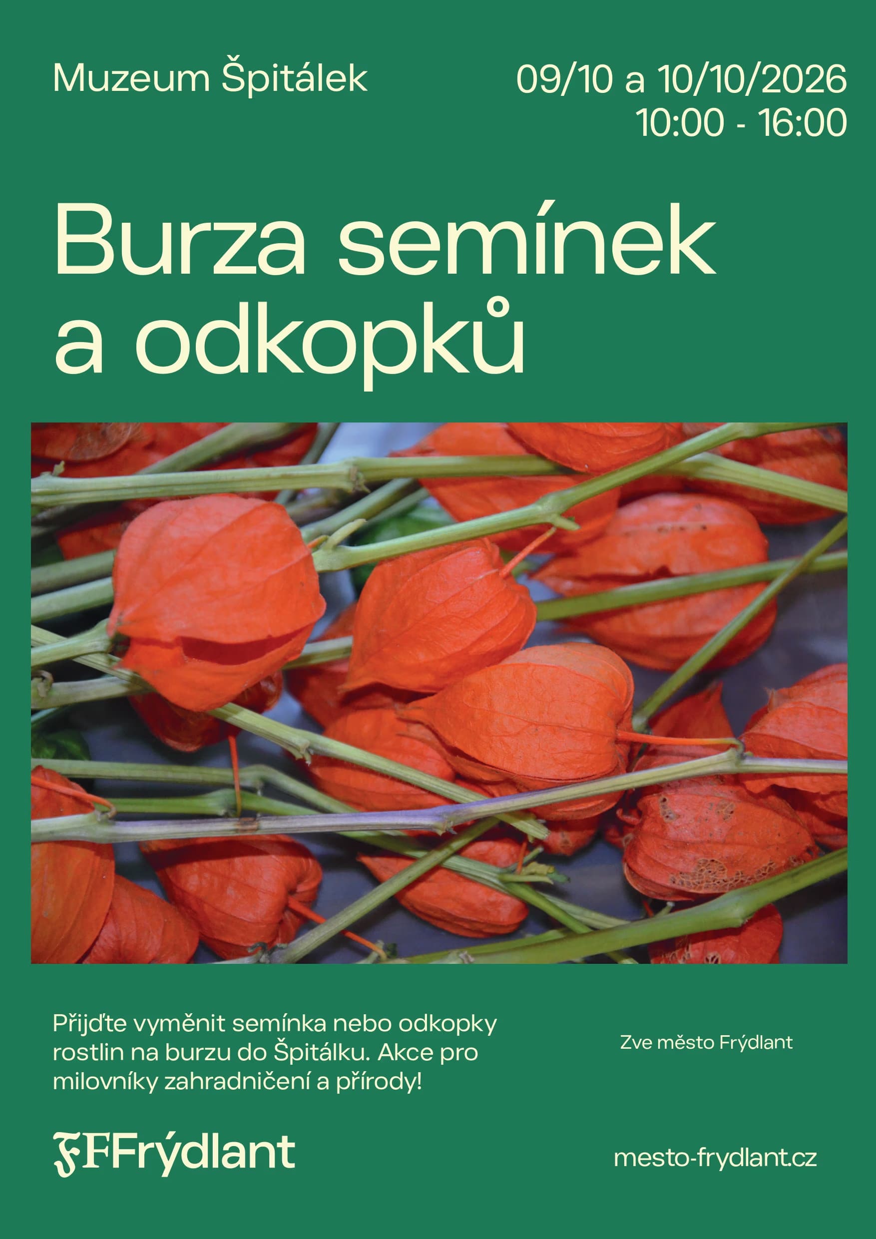 Burza semínek a odkopků ve Špitálku
