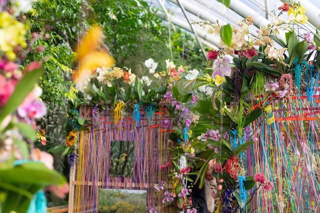 Colorful orchids decorate a greenhouse space with hanging ribbons in a botanical installation.