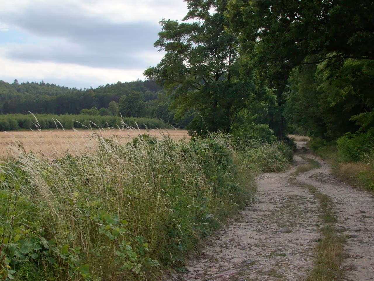 A narrow dirt path runs alongside a grassy field bordered by trees on a cloudy day.