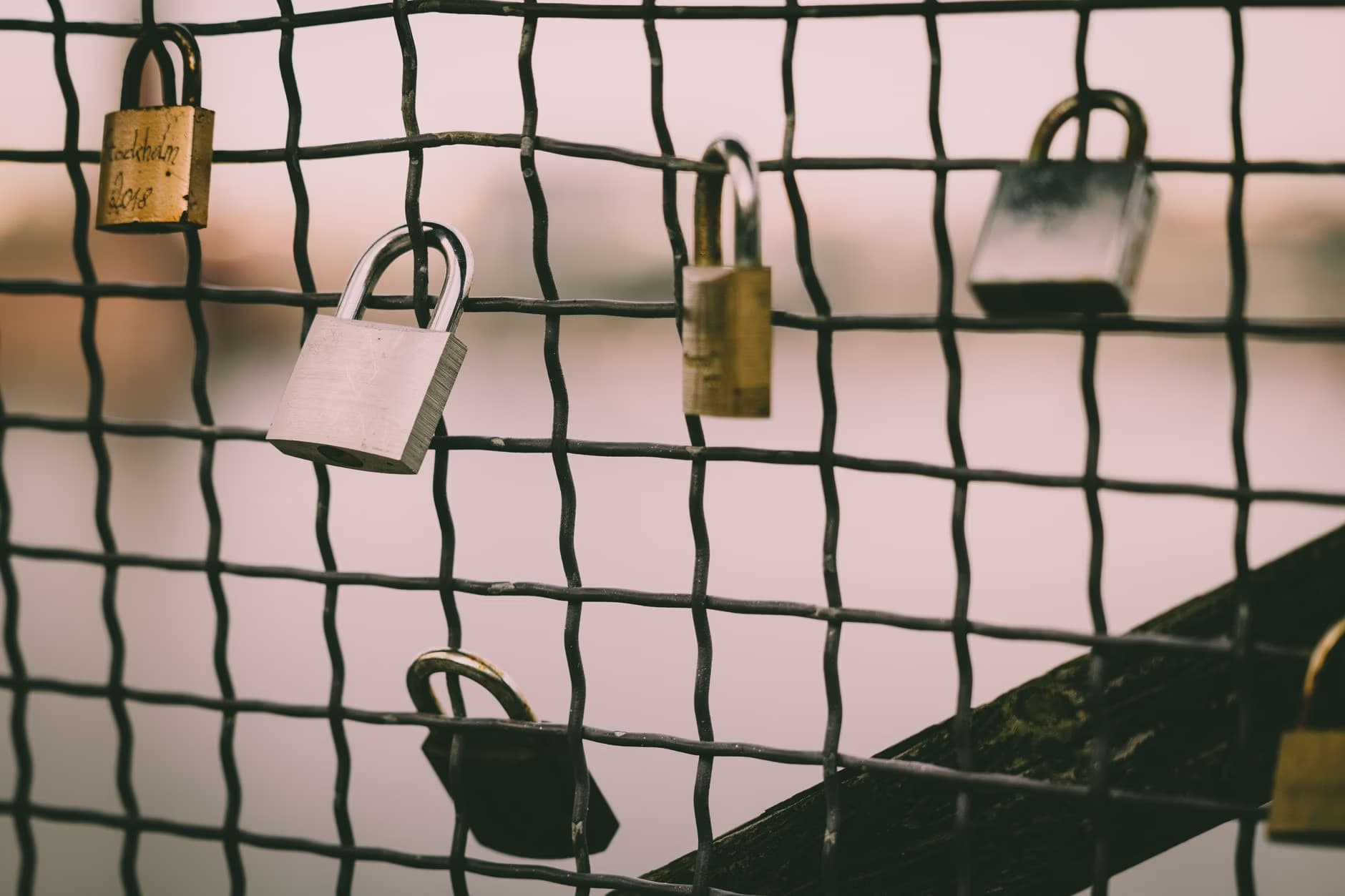 Several metal padlocks attached to a wire mesh fence with a soft blurred background.