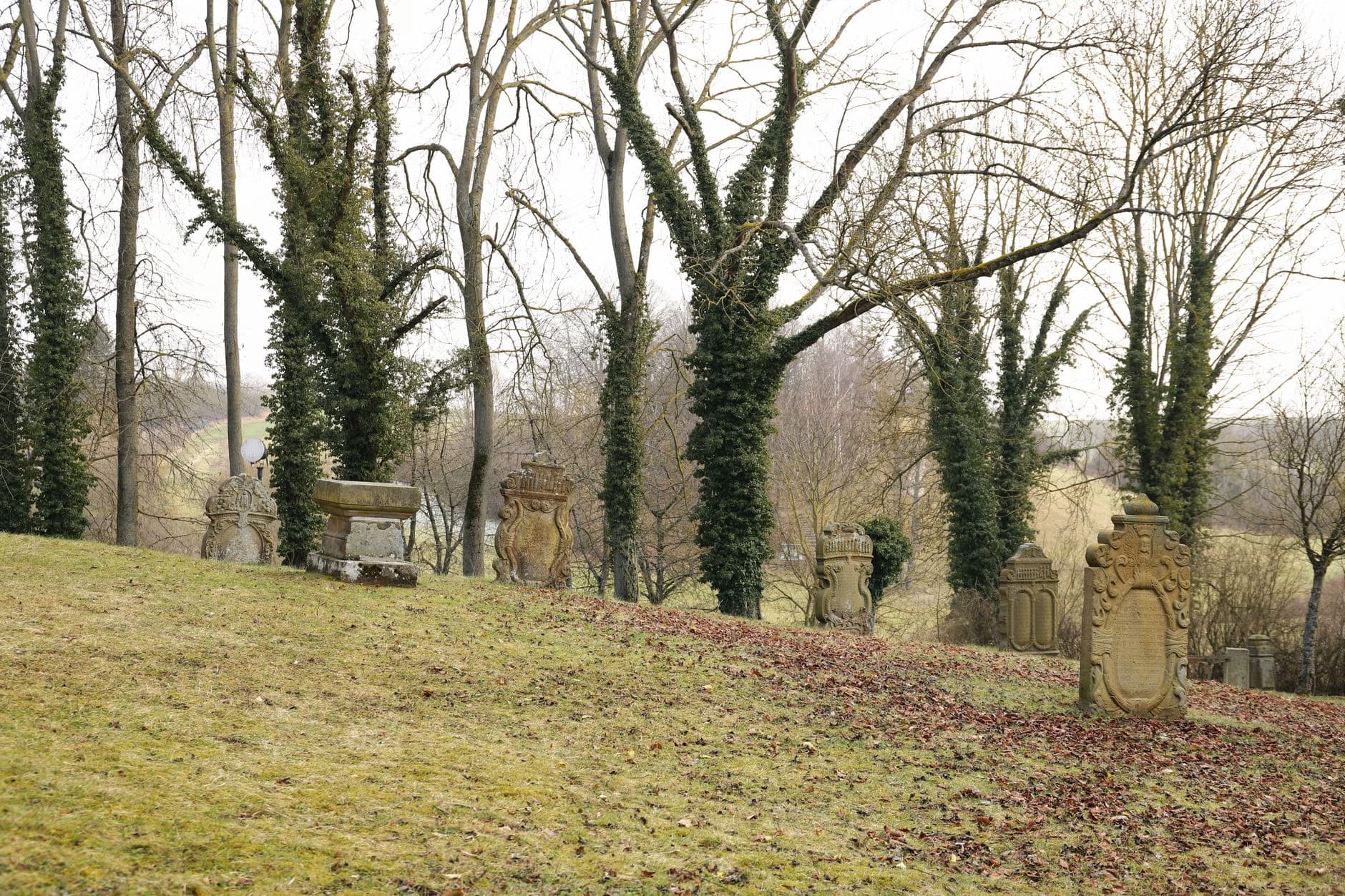 Old stone gravestones stand on a gentle grassy hill surrounded by tall trees with ivy.