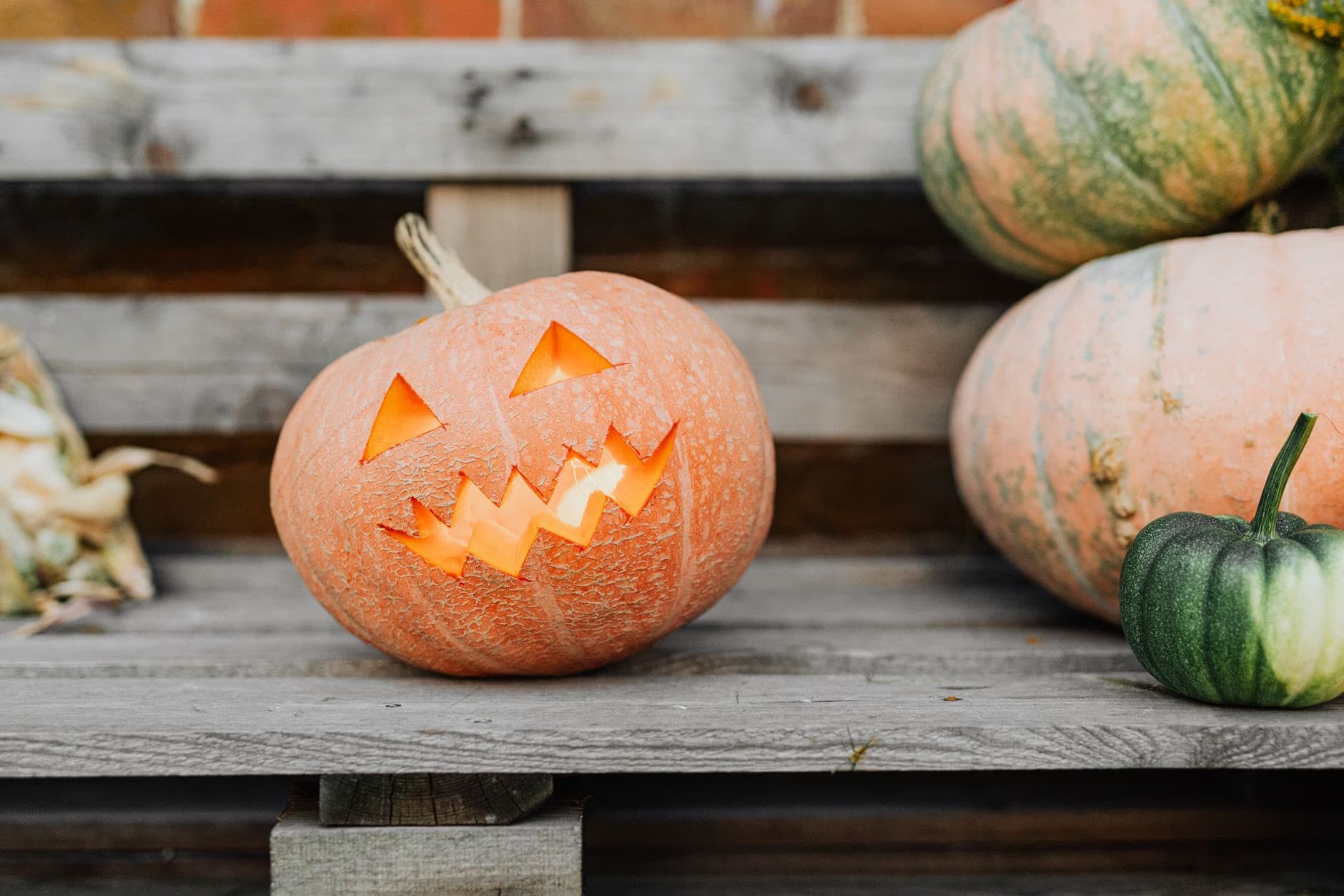 Ein geschnitzter Halloween-Kürbis mit leuchtendem Gesicht steht auf einer Holzbank zwischen anderen Kürbissen.