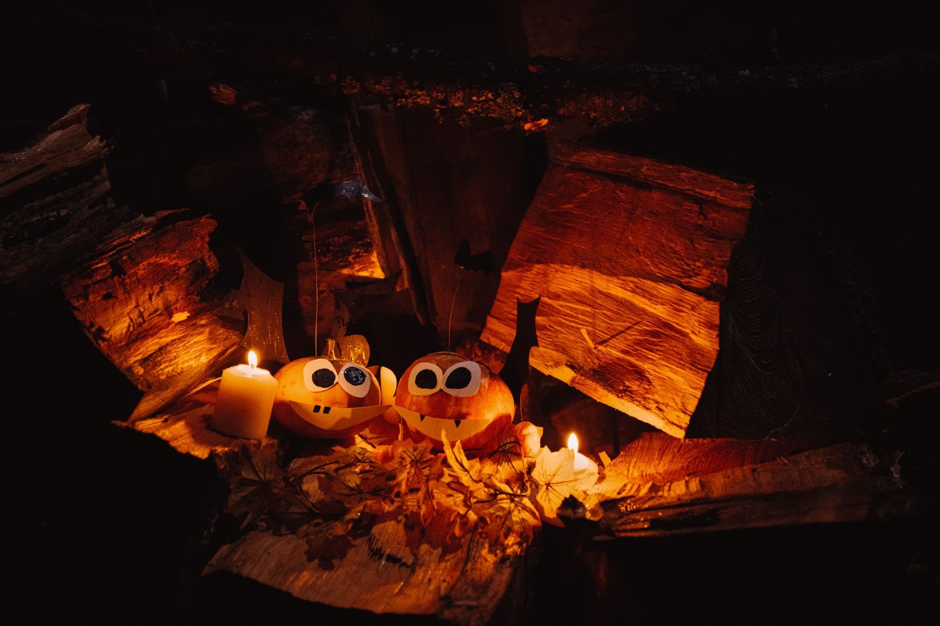 Two small decorated pumpkins sit amid burning wood and dry leaves in a dark hearth.